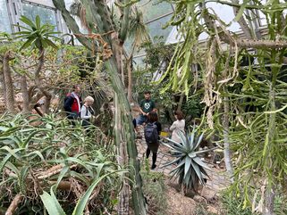 Führung durch den botanischen Garten